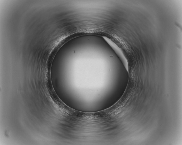 X0000096210540200802081504