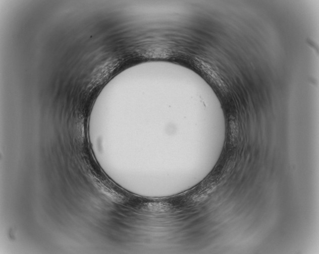 X0000096210541200802081504