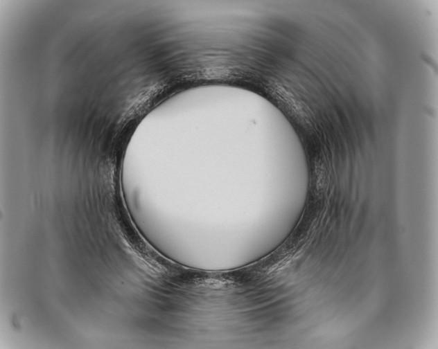 X0000096210542200802081504