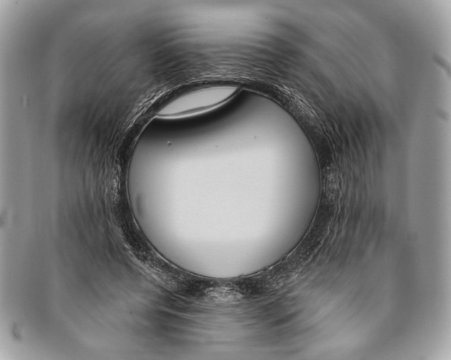 X0000096210544200802081504