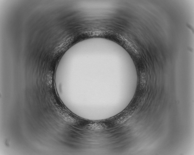 X0000096210545200802081504