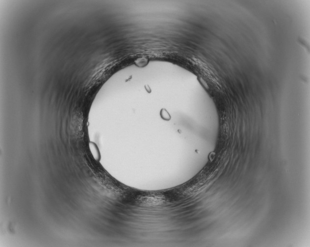 X0000096210548200802081504