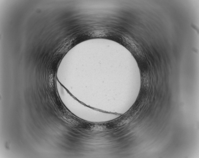 X0000096210549200802081504