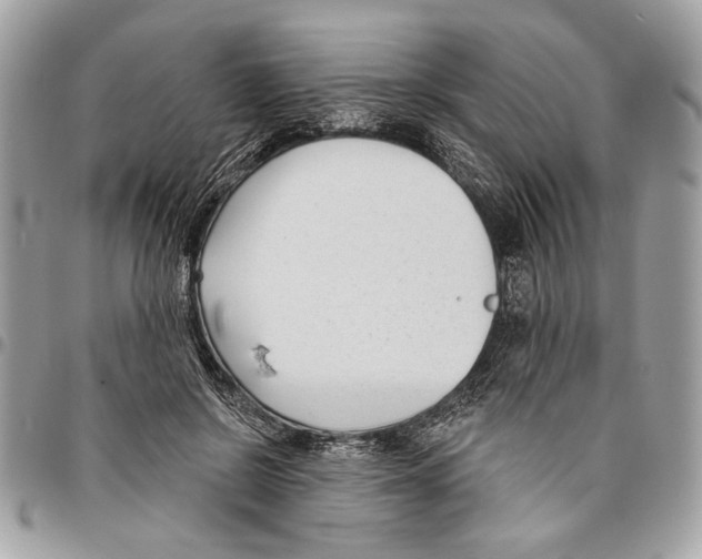 X0000096210550200802081504