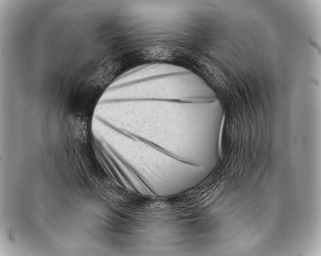 X0000096210551200802081504