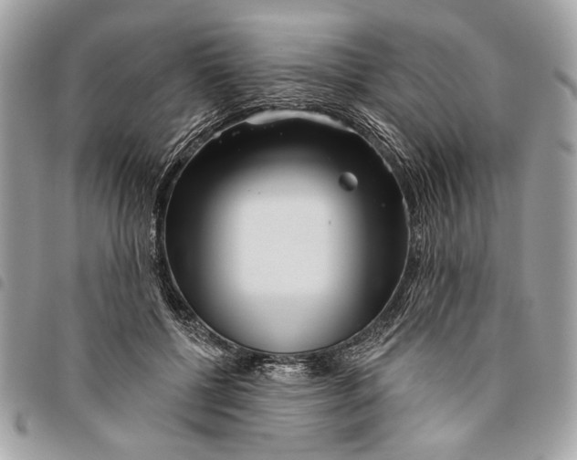 X0000096210552200802081504