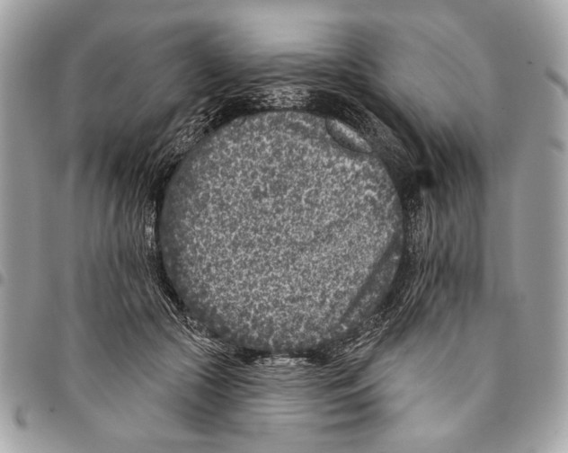 X0000096210553200802081504