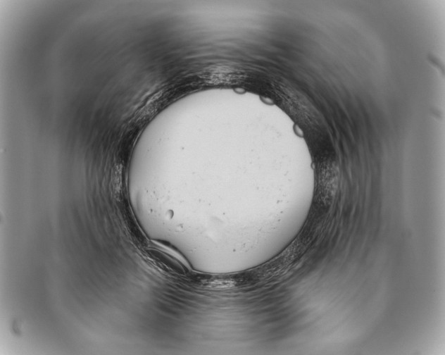 X0000096210554200802081504