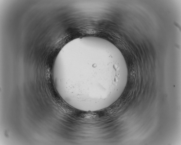 X0000096210555200802081504