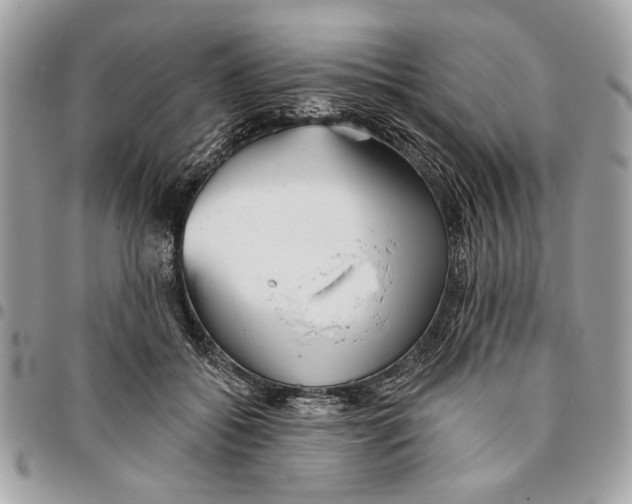 X0000096210556200802081504