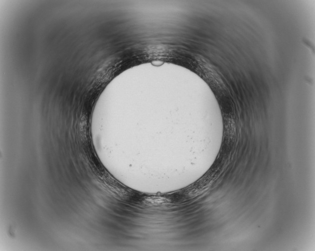 X0000096210557200802081504