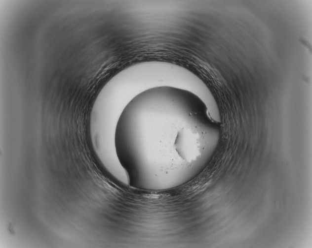 X0000096210558200802081504