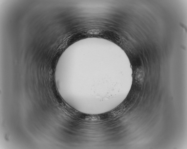 X0000096210559200802081504