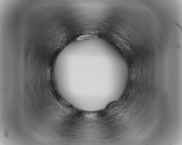 X0000096210560200802081504