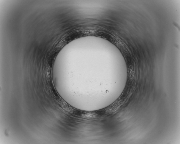 X0000096210561200802081504