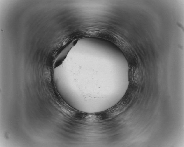 X0000096210562200802081505