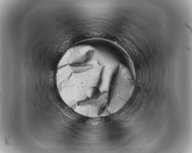 X0000096210563200802081505