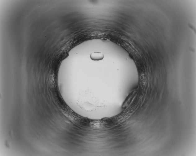 X0000096210564200802081505