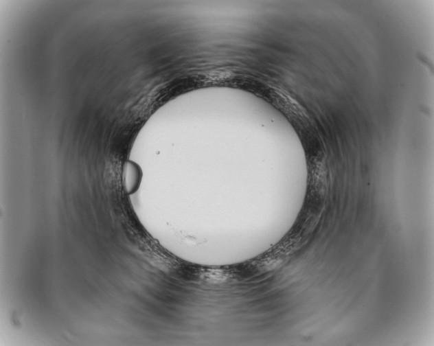 X0000096210565200802081505