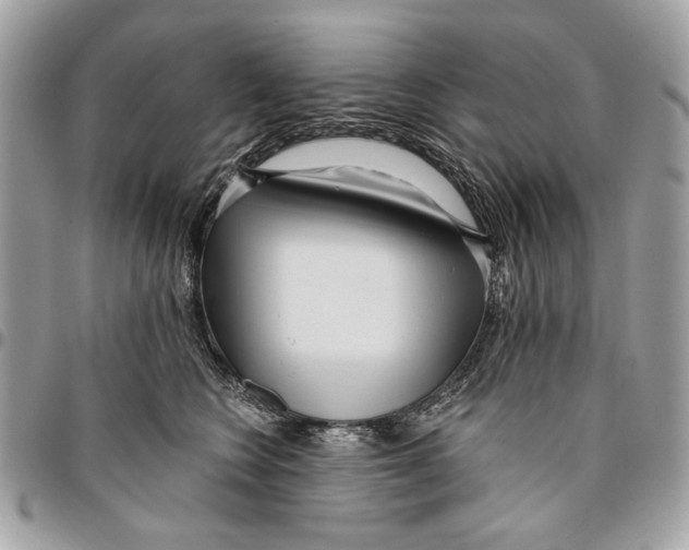 X0000096210566200802081505