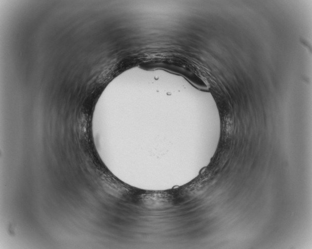 X0000096210567200802081505