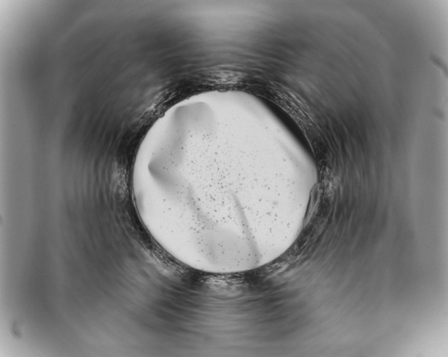 X0000096210568200802081505