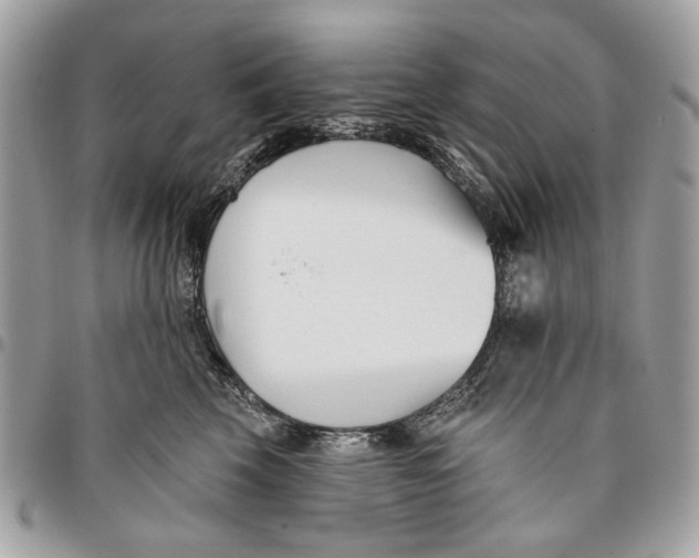 X0000096210569200802081505