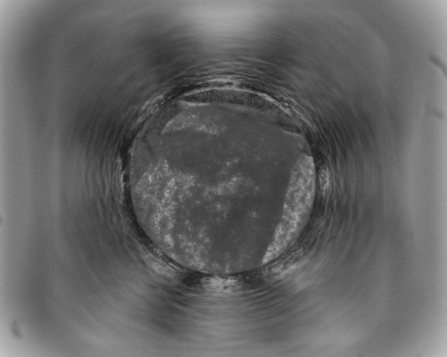 X0000096210570200802081505