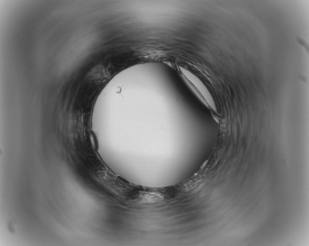 X0000096210572200802081505