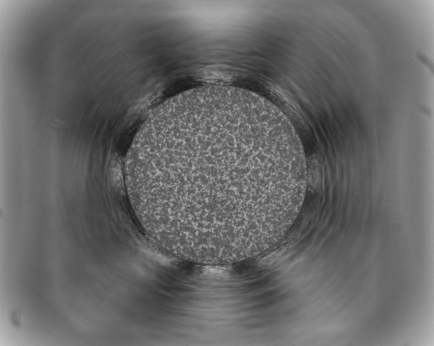 X0000096210573200802081505