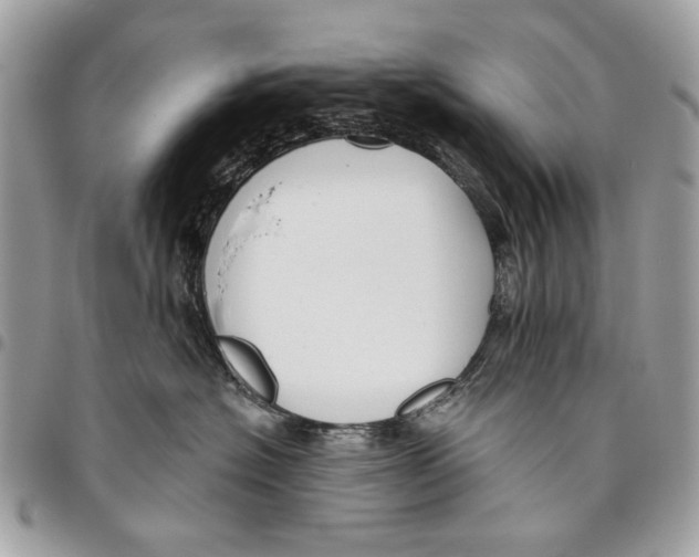 X0000096210574200802081505