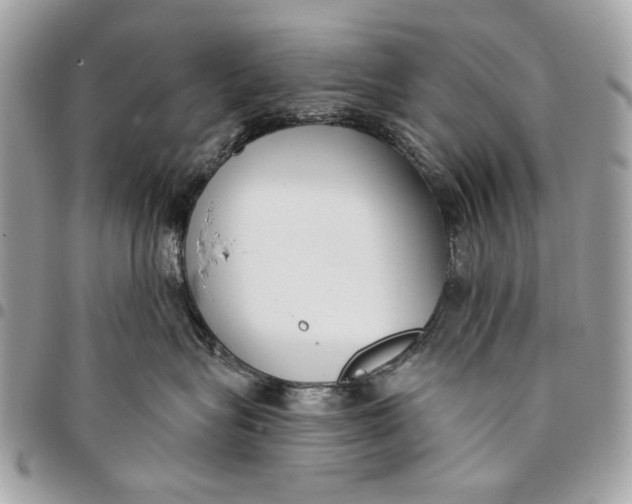 X0000096210575200802081505