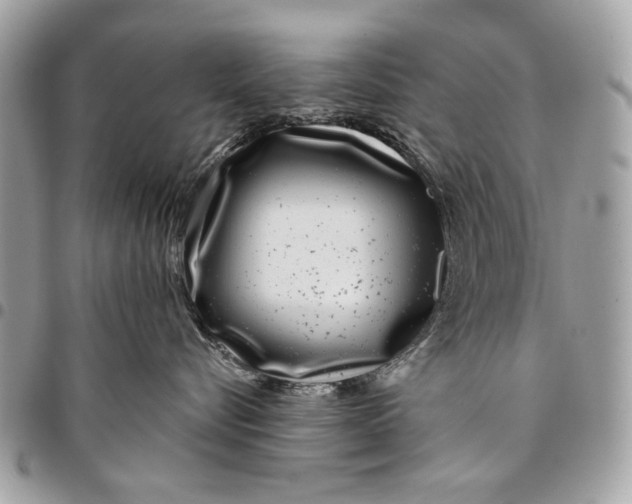 X0000096210576200802081505