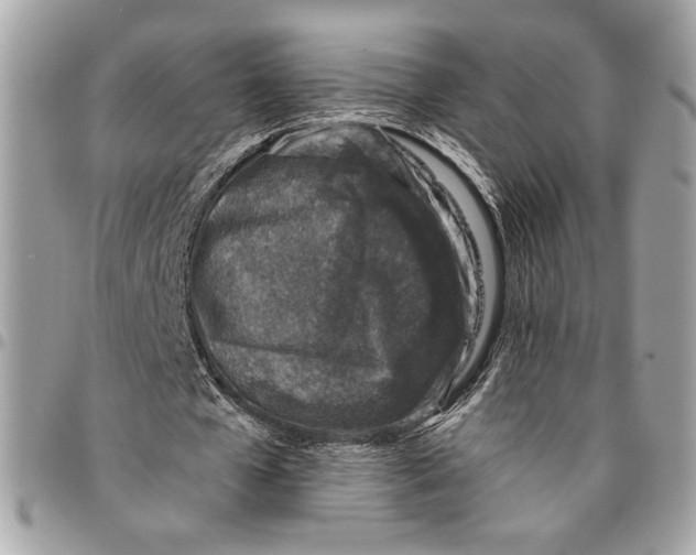 X0000096210577200802081504