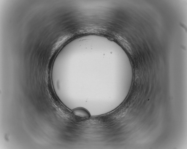 X0000096210578200802081504