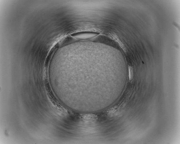 X0000096210579200802081504