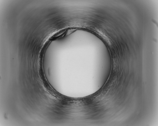 X0000096210580200802081504