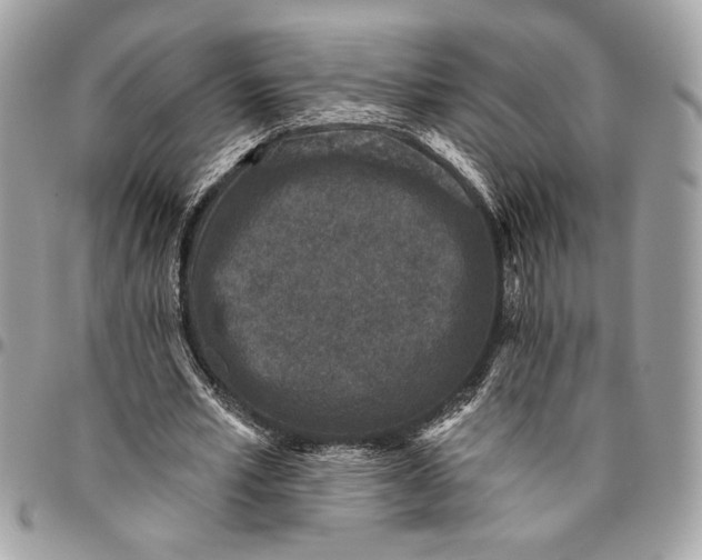 X0000096210581200802081504