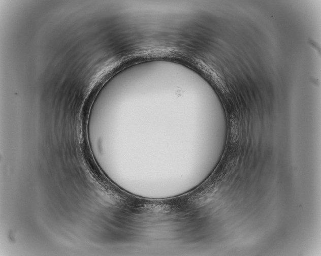 X0000096210582200802081504