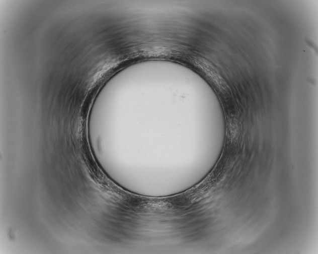 X0000096210583200802081504