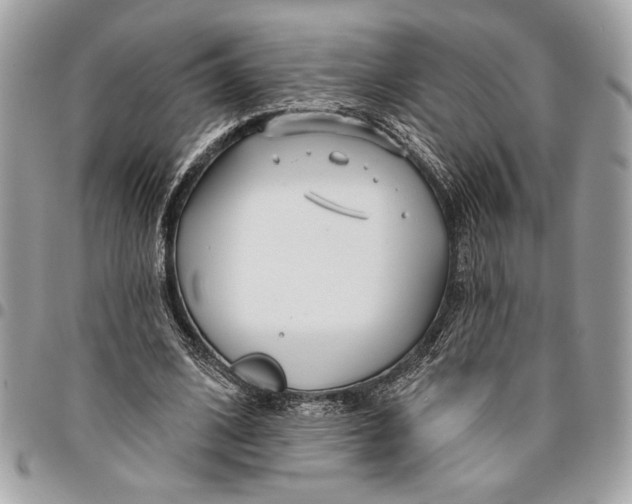 X0000096210584200802081504