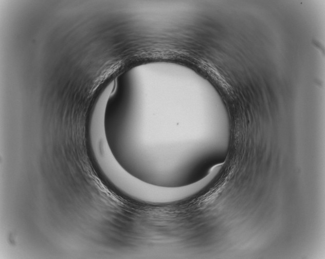 X0000096210585200802081504