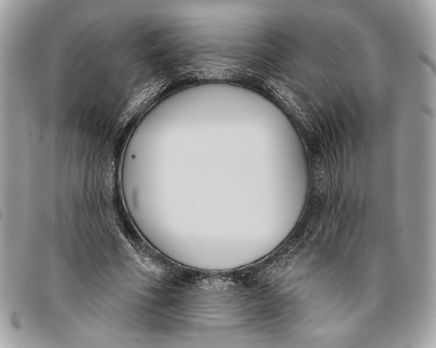 X0000096210586200802081504