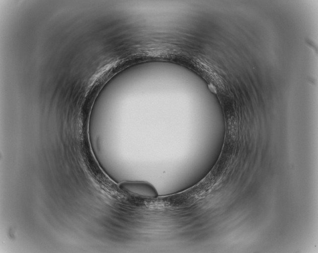 X0000096210587200802081504