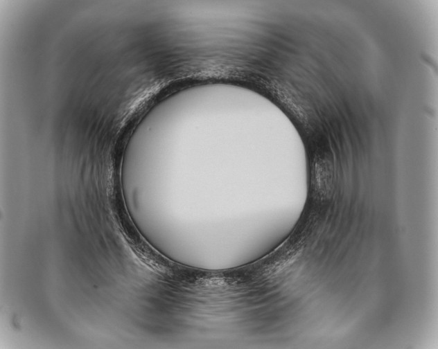 X0000096210588200802081504