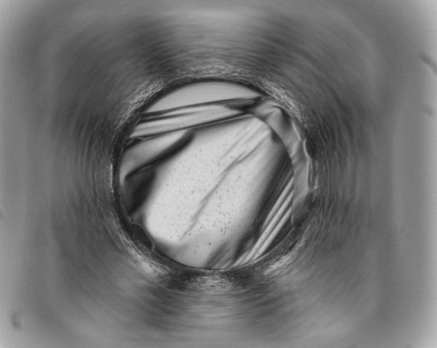 X0000096210589200802081504