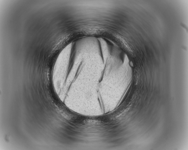 X0000096210590200802081504