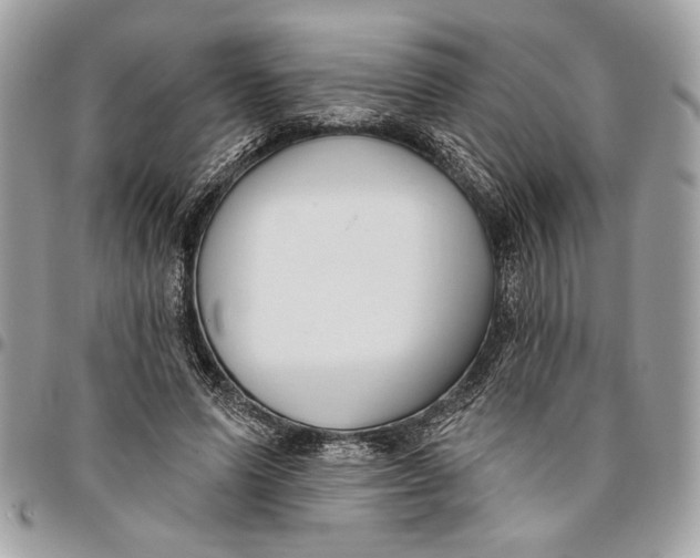 X0000096210591200802081504