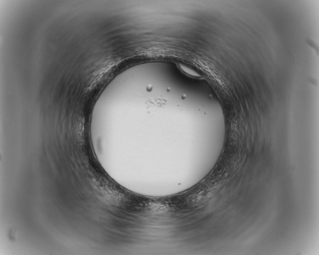 X0000096210592200802081504