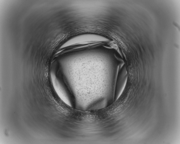 X0000096210593200802081504